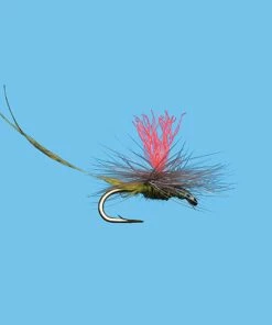 Flies Solitude Hatch Matcher Bwo (D1838ol) 6-Pack