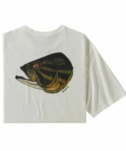 Patagonia Men'S Fish Noggins Organic Tee Clothing