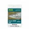 Rio Skagit Imow Tips