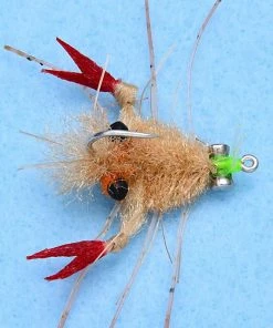 Enrico Puglisi Sand Crab (3-Pack)