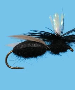 Solitude Ant - Carpenter (T012) 6-Pack Flies