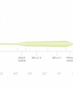 Scientific Anglers Frequency Magnum Fly Line