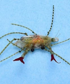 Enrico Puglisi Ep Soft Shell Egg #1 (3-Pack)