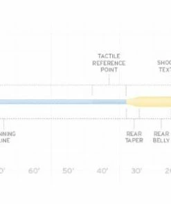 Scientific Anglers Amplitude Big Water Taper Fly Line Lines