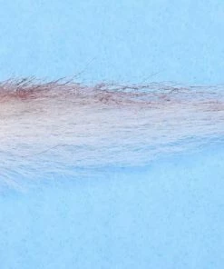 Enrico Puglisi Roosterfish Sardina (3-Pack) 5 Enrico Puglisi Roosterfish Sardina (3-Pack)