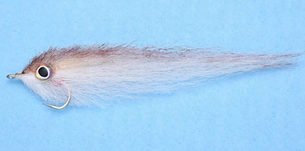 Enrico Puglisi Roosterfish Sardina (3-Pack) 4 Enrico Puglisi Roosterfish Sardina (3-Pack)