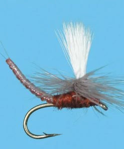 Solitude Mahogany Parachute Ext Body (Pd167ex ) 6-Pack Flies