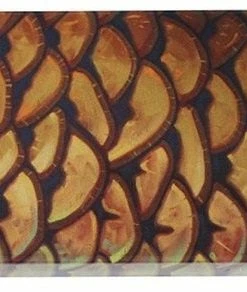 Deyoung Iphone 5/5s Case - Vibe Accessories