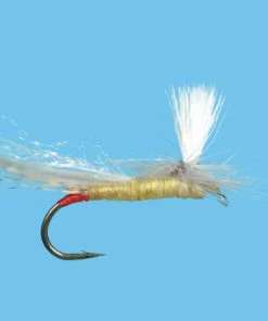 Solitude Parachute Yellow Sallie (Pd540) 6-Pack