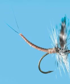 Solitude Callibaetis - Ext Dun (D115d) 6-Pack