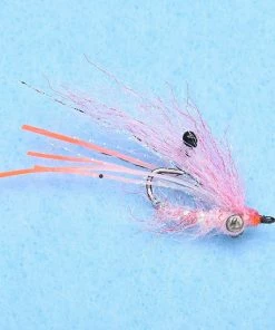 Enrico Puglisi Ghost Shrimp (3-Pack)