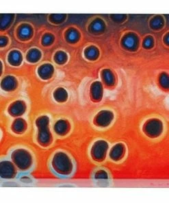 Deyoung Iphone 5/5s Case - Vibe Accessories