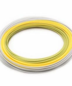 Elite Rio Gold Fly Line Lines
