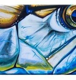 Deyoung Iphone 5/5s Case - Vibe Accessories