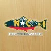 Accessories Rep Your Water Nc Brookie Sticker