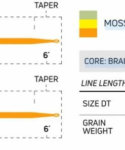 Lines Cortland Trout Boss Dt Fly Line