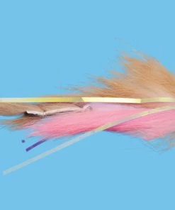 Solitude Dali Lama (St0275) 6-Pack