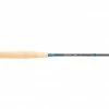 Echo Trout Fly Rod