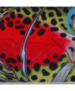 Deyoung Iphone 5/5s Case - Vibe Accessories