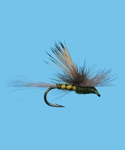 Solitude Tiltwing - Bwo (D387ol) 6-Pack