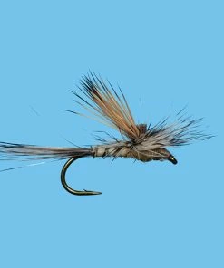 Solitude Tiltwing - Callibaetis (D387tn) 6-Pack Flies