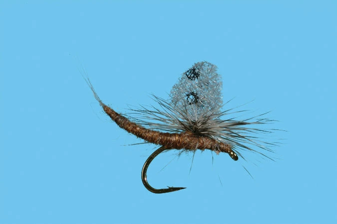 Solitude Callibaetis - Ext Body (D115ex) 6-Pack 3 Solitude Callibaetis - Ext Body (D115ex) 6-Pack