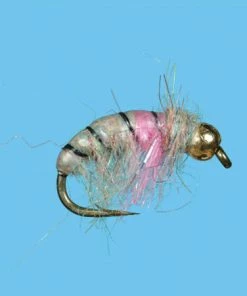 Flies Solitude Czech Nymph (Cz050) 6-Pack