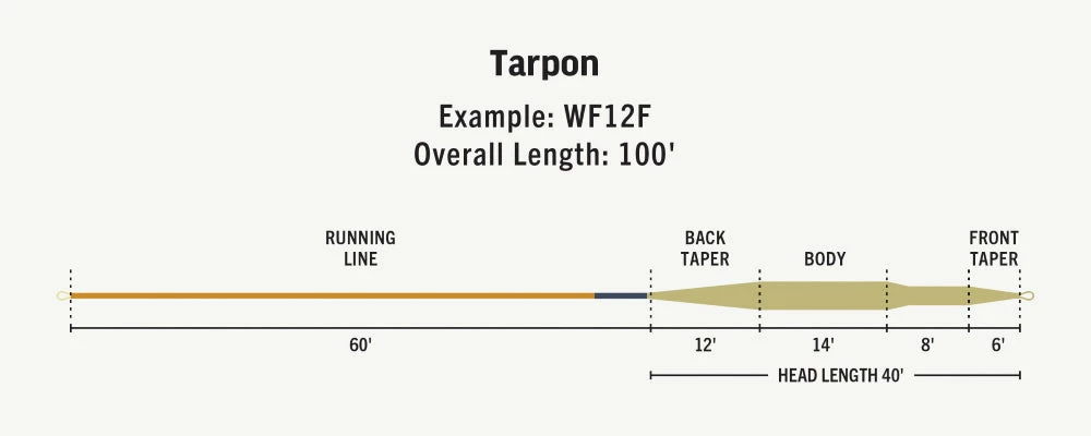 Rio Premier Tarpon Fly Line Lines 5 Rio Premier Tarpon Fly Line Lines